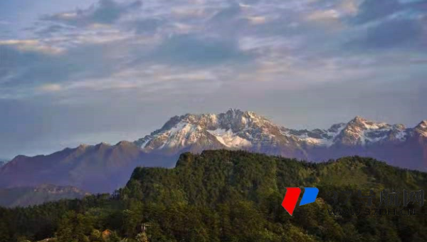 网站优化秘籍之标题优化：开启流量之门