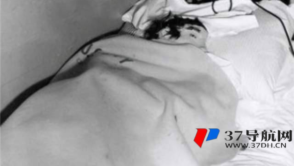 标题优化技巧大揭秘：抓住搜索者眼球