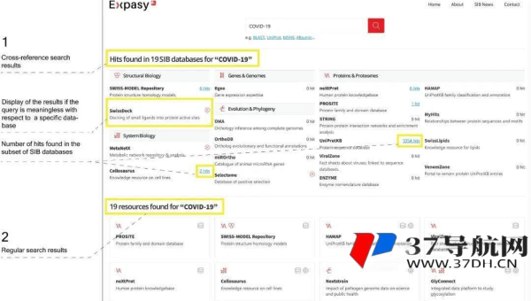 服务器选择攻略详细解读：匹配网站 SEO 需求