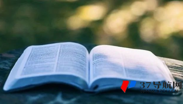 网站优化秘籍之文章标题优化：吸引流量密码