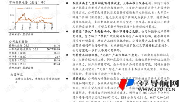 网站优化全方位：文章、标题、域名齐发力