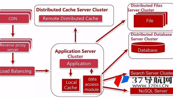 服务器配置与网站 SEO：优化性能提升排名