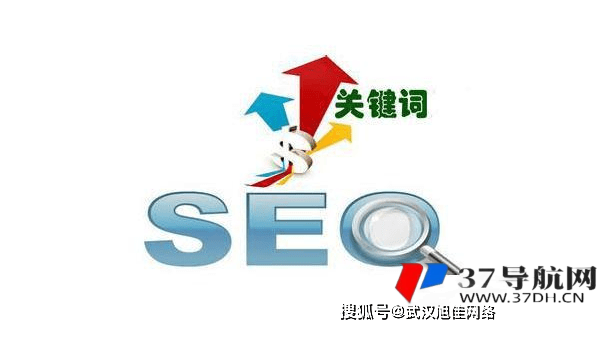 网钛 CMS 新闻网站视频 SEO 优化：从标题到描述提升曝光