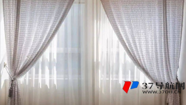 emlog 博客域名策略与 SEO：选择合适域名提升排名