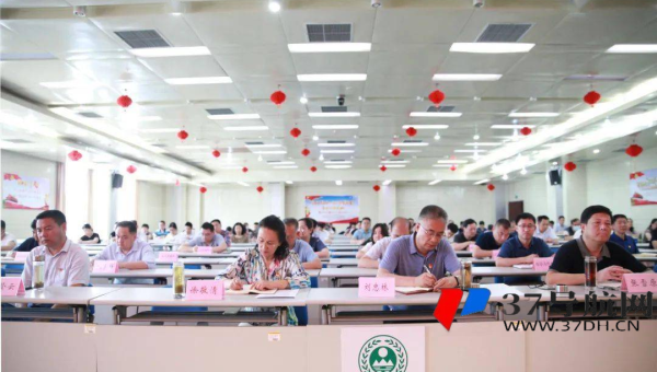 苹果 CMS 影视站：通过优化影视评分系统提升 SEO 排名