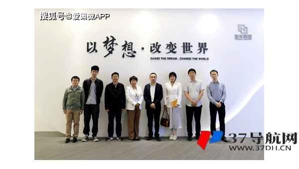 帝国 CMS 文章优化秘籍实践详解：提升网站搜索权重