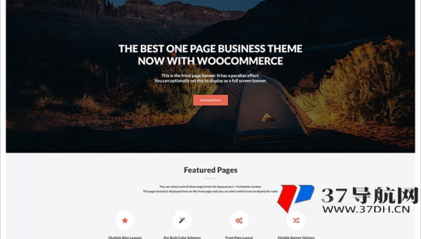 WordPress 优化：借助自定义导航菜单提升 SEO 导航精准性