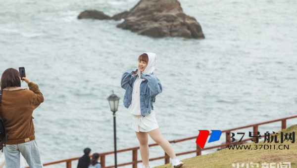 网钛 CMS 新闻网站文章更新频率与 SEO 效果的关联