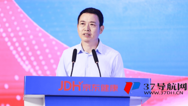 网站优化中 XML 站点地图的构建与运用