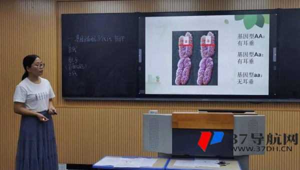 emlog 博客文章：通过优化文章阅读量统计的展示方式提升 SEO 热度感知