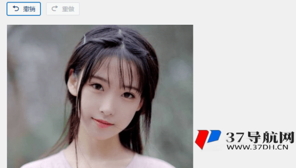 z – BlogPHP 博客 SEO：利用 WordPress 块样式优化特定元素 SEO