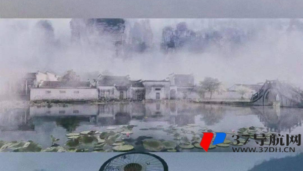 探索优化网站评论功能提升 SEO